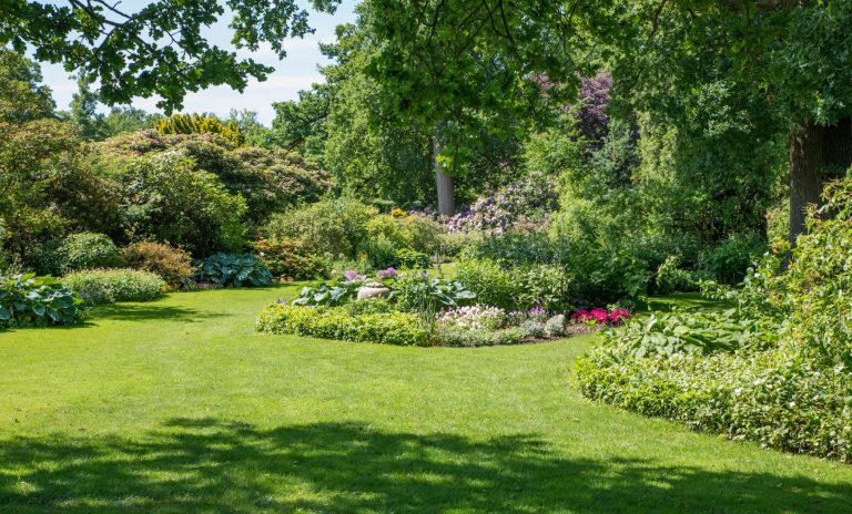 Comment aménager un jardin en pente avec des cailloux : mes astuces qui changent tout