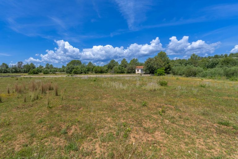 Peut-on acheter un terrain constructible sans construire ?