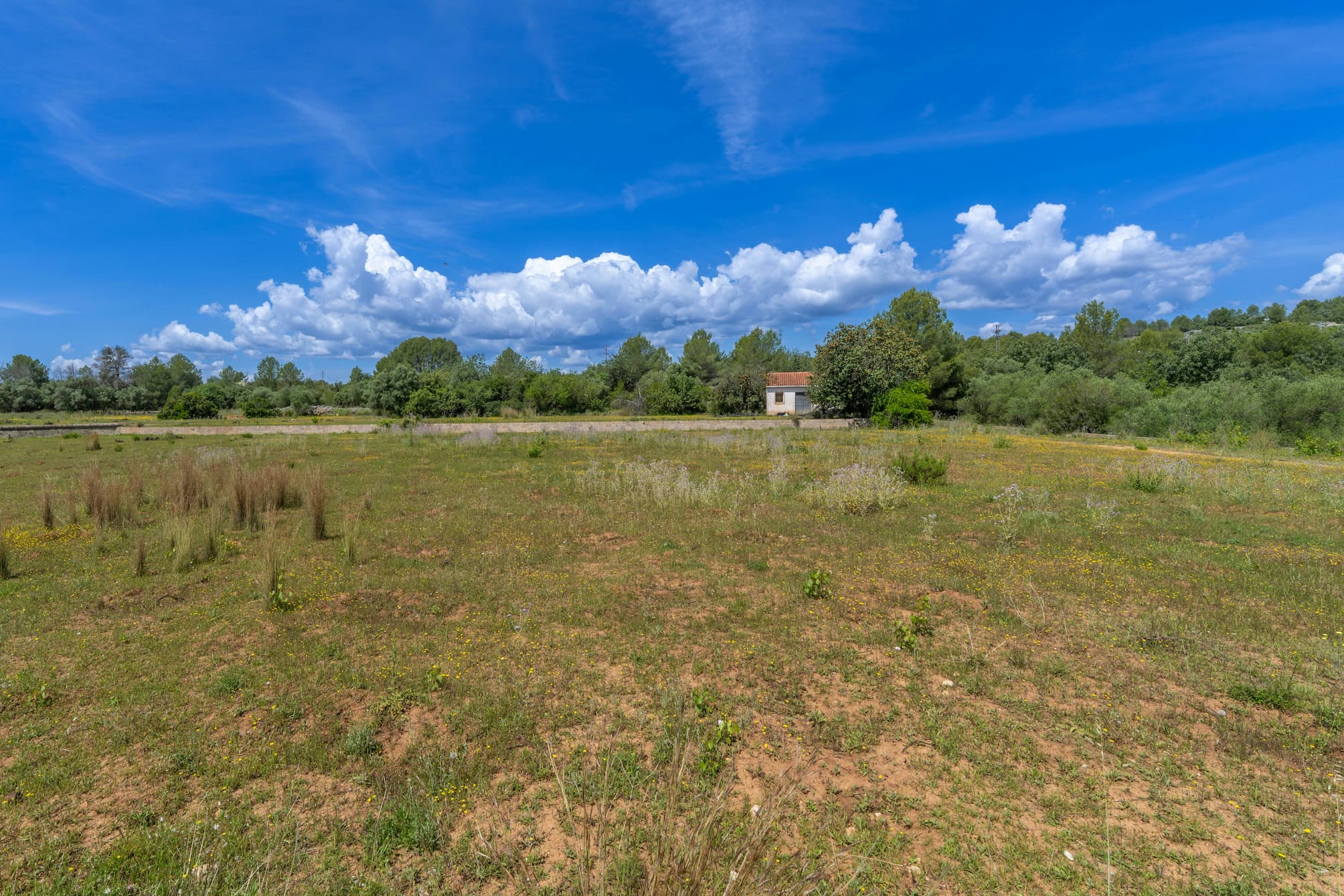 Peut-on acheter un terrain constructible sans construire ?