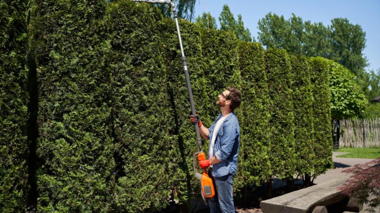 Comment choisir ses équipements pour les travaux d’entretien extérieur ?
